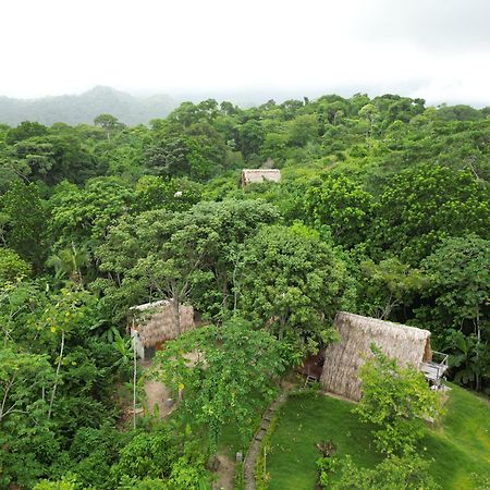 Tiny Houses Unique Tayrona - Dentro Del Parque Tayrona เอลไซโน ภายนอก รูปภาพ