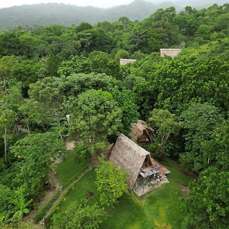 Tiny Houses Unique Tayrona - Dentro Del Parque Tayrona เอลไซโน ภายนอก รูปภาพ
