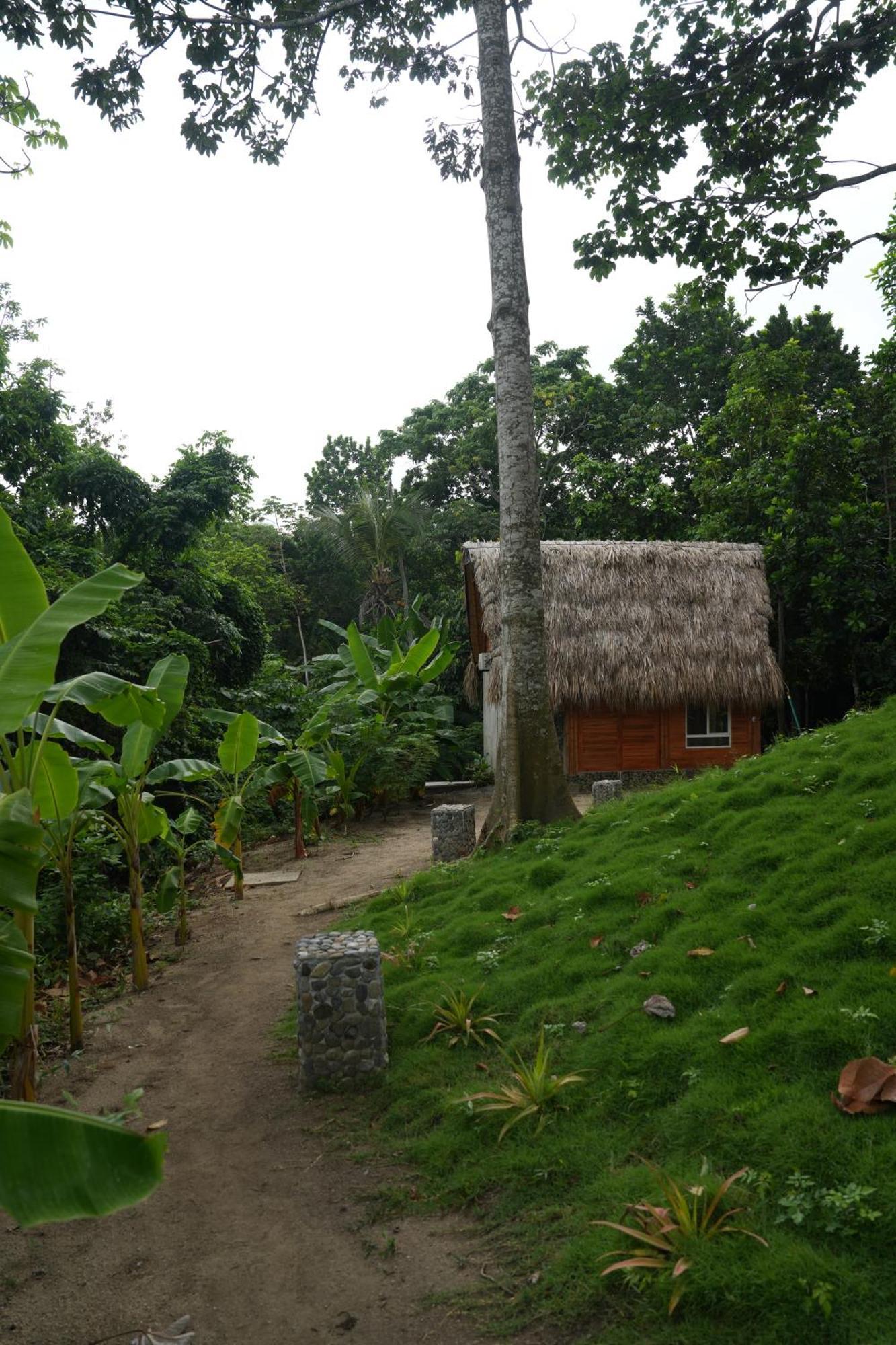 Tiny Houses Unique Tayrona - Dentro Del Parque Tayrona เอลไซโน ภายนอก รูปภาพ
