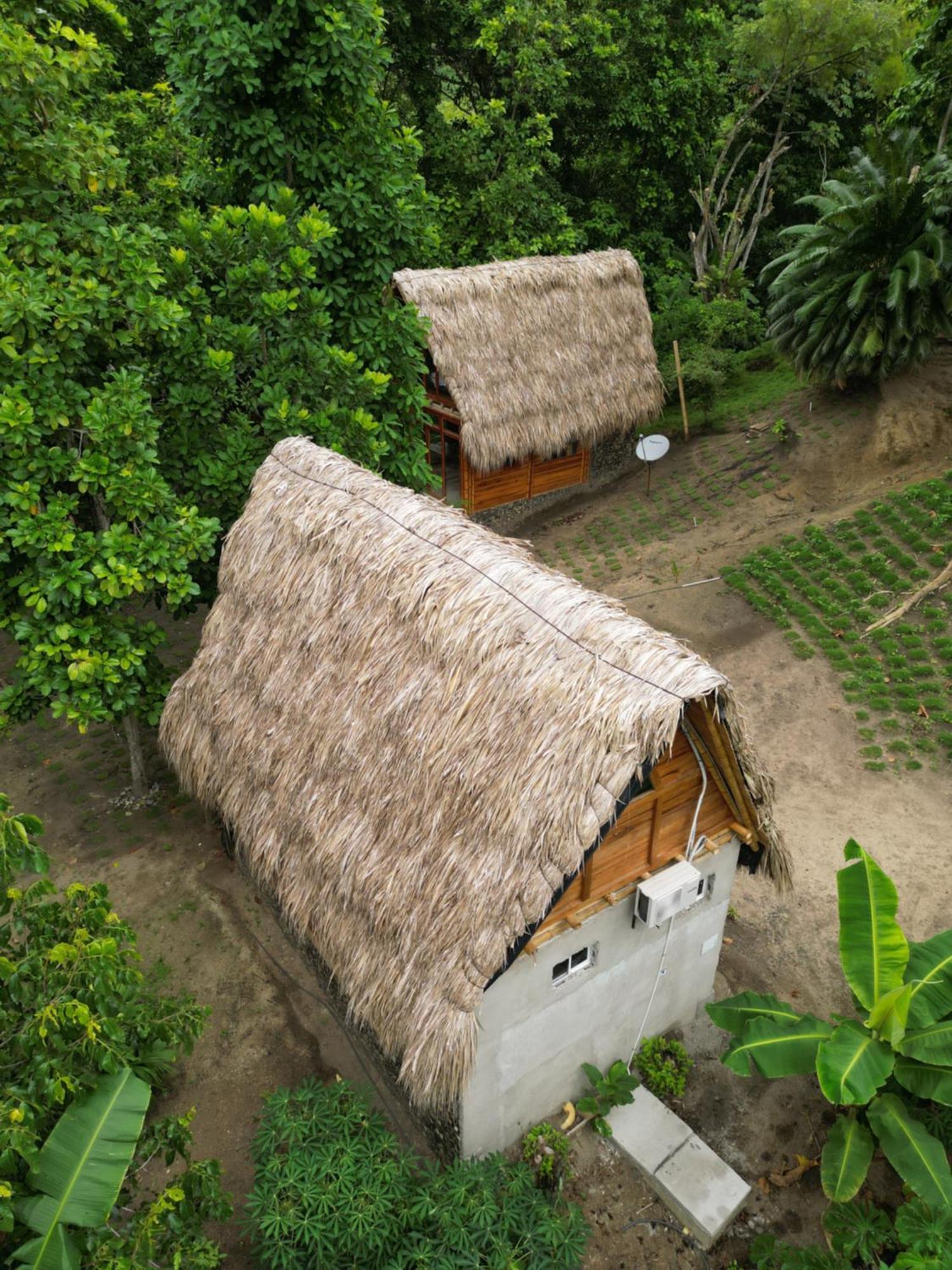 Tiny Houses Unique Tayrona - Dentro Del Parque Tayrona เอลไซโน ภายนอก รูปภาพ