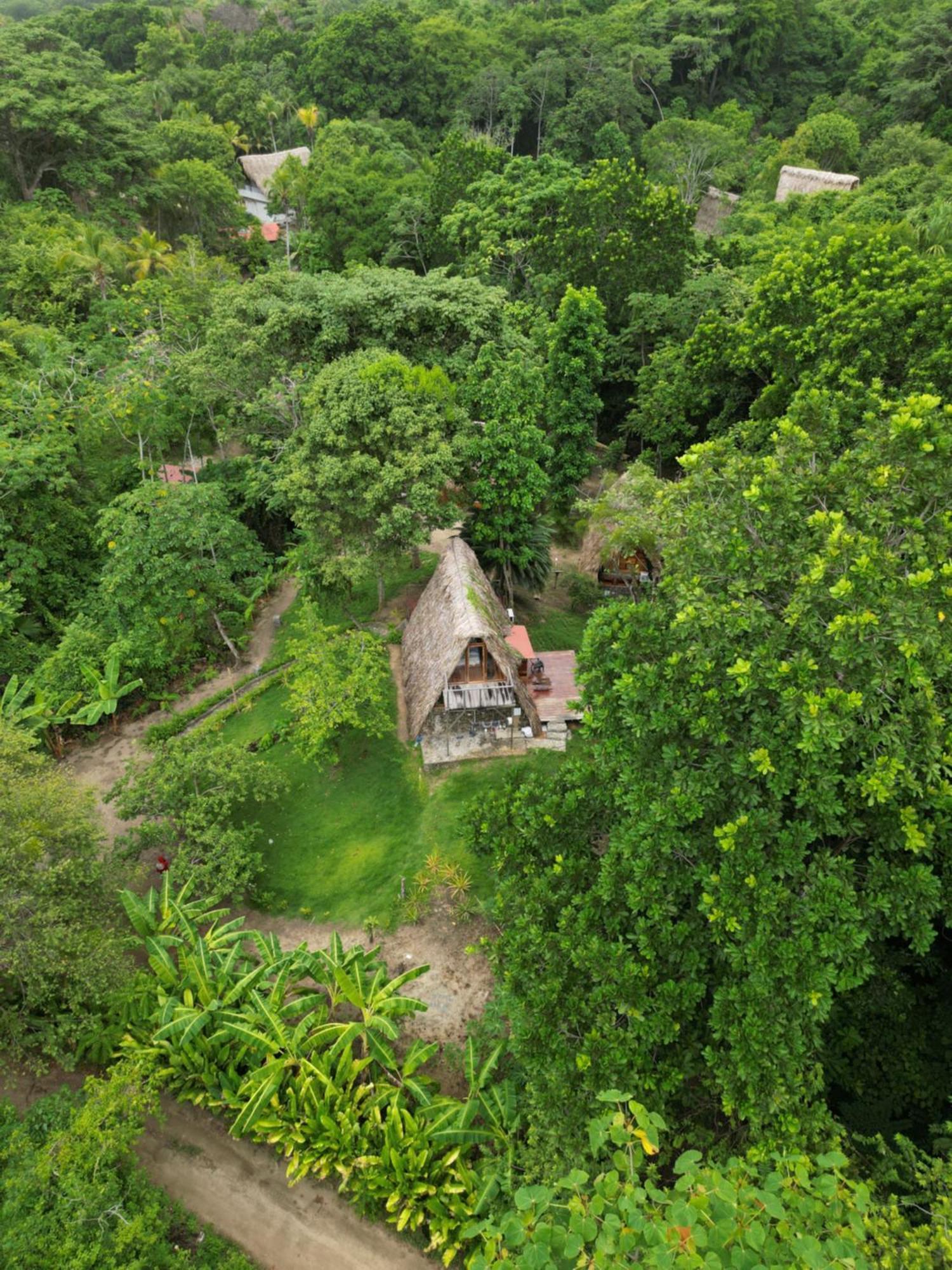 Tiny Houses Unique Tayrona - Dentro Del Parque Tayrona เอลไซโน ภายนอก รูปภาพ