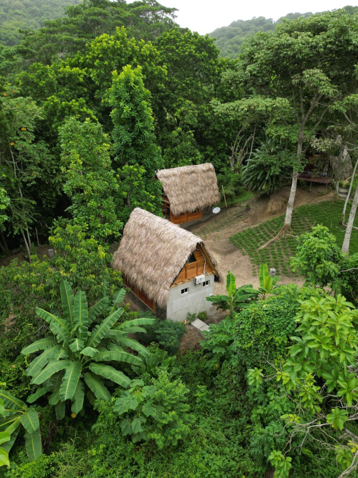Tiny Houses Unique Tayrona - Dentro Del Parque Tayrona เอลไซโน ภายนอก รูปภาพ