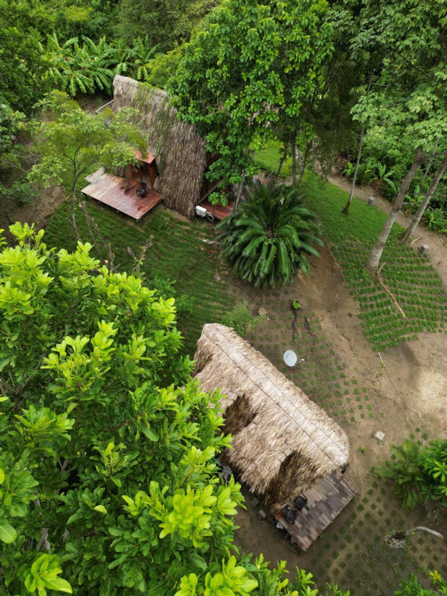 Tiny Houses Unique Tayrona - Dentro Del Parque Tayrona เอลไซโน ภายนอก รูปภาพ