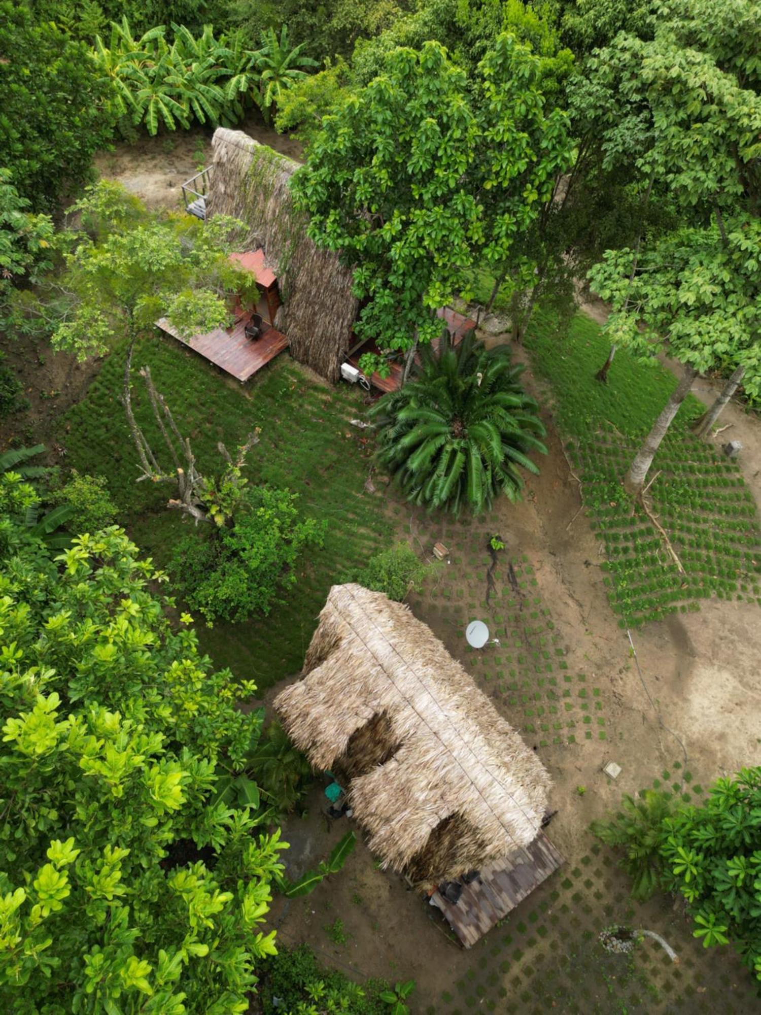 Tiny Houses Unique Tayrona - Dentro Del Parque Tayrona เอลไซโน ภายนอก รูปภาพ