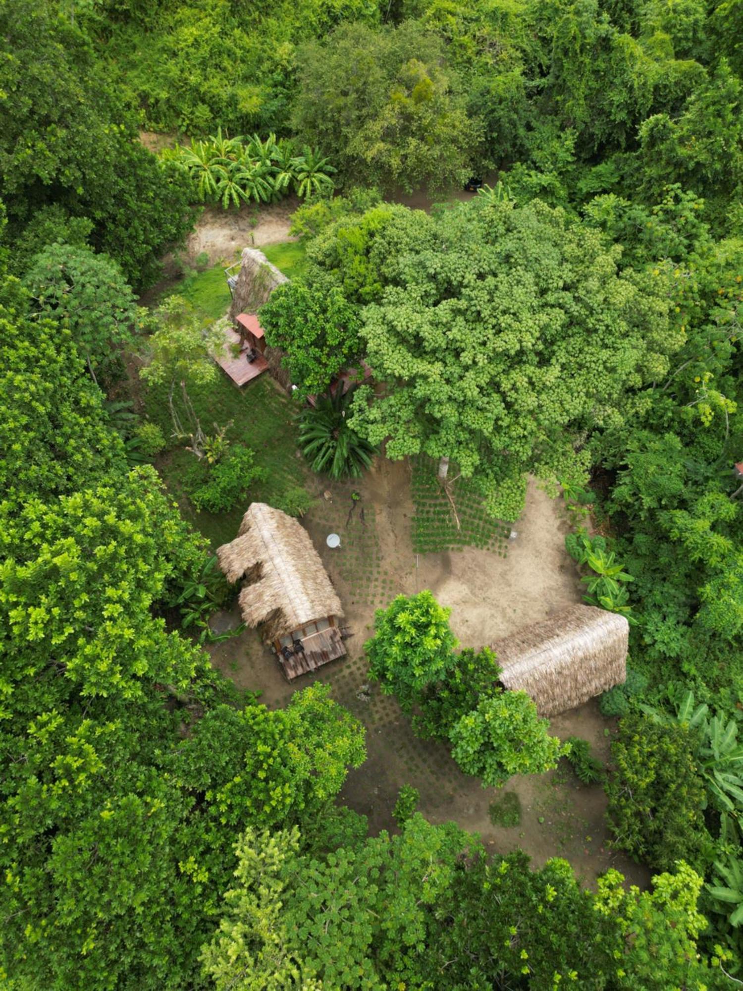 Tiny Houses Unique Tayrona - Dentro Del Parque Tayrona เอลไซโน ภายนอก รูปภาพ
