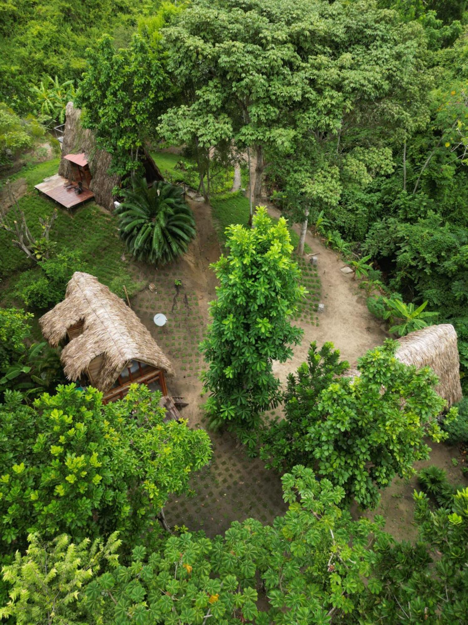 Tiny Houses Unique Tayrona - Dentro Del Parque Tayrona เอลไซโน ภายนอก รูปภาพ