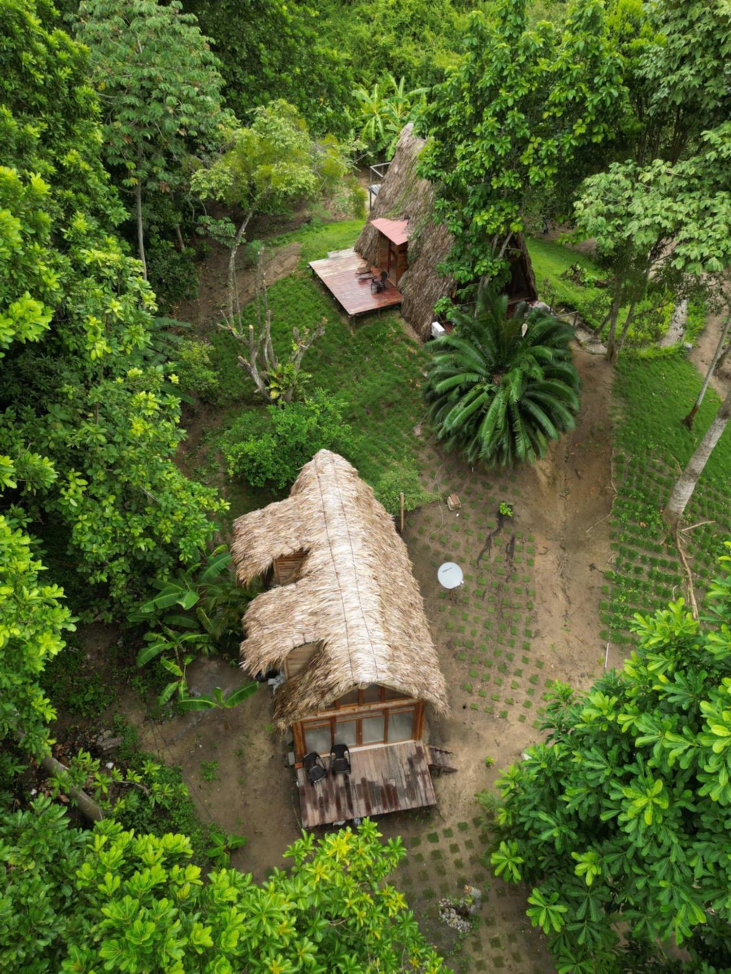 Tiny Houses Unique Tayrona - Dentro Del Parque Tayrona เอลไซโน ภายนอก รูปภาพ