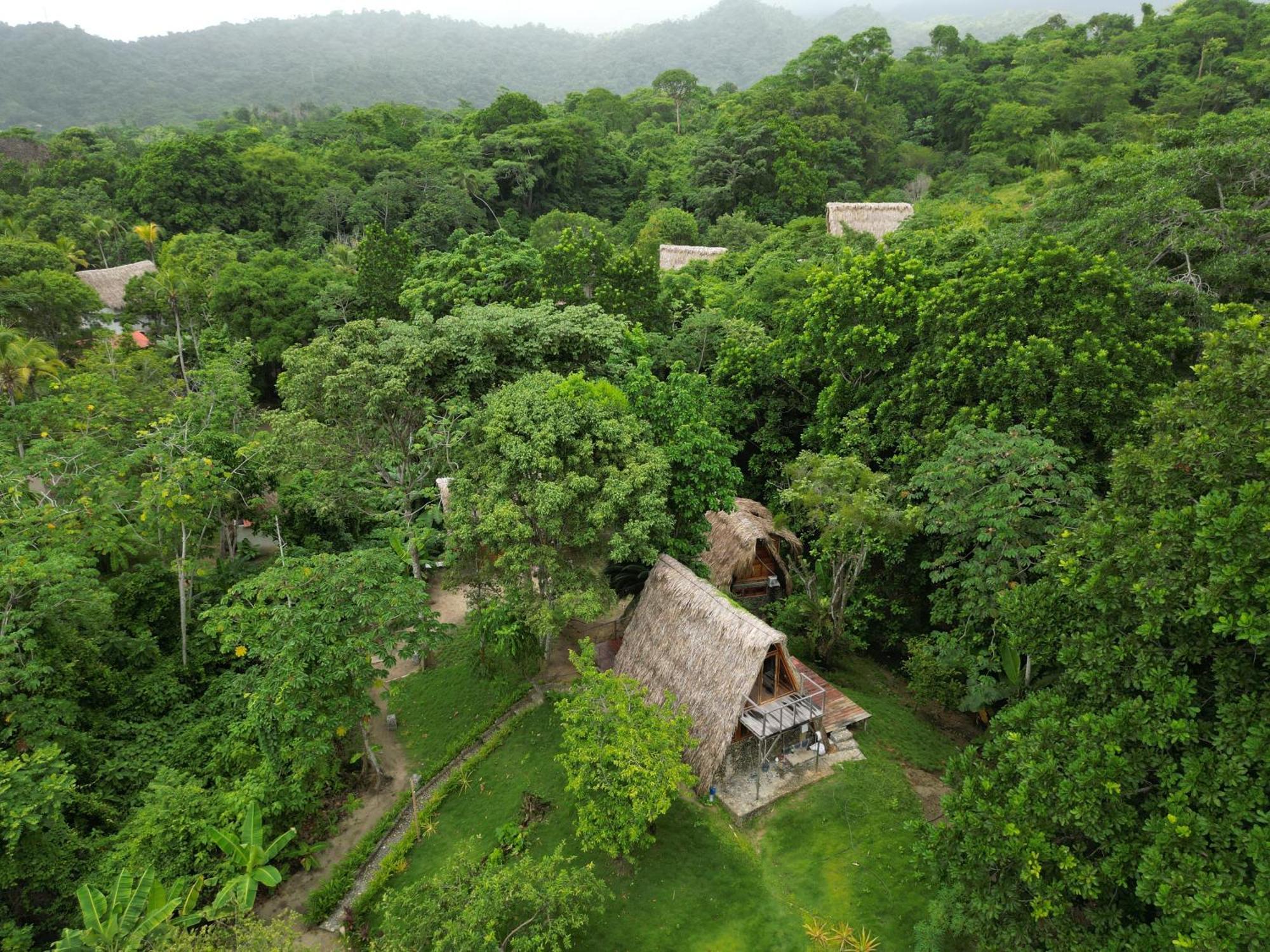 Tiny Houses Unique Tayrona - Dentro Del Parque Tayrona เอลไซโน ภายนอก รูปภาพ