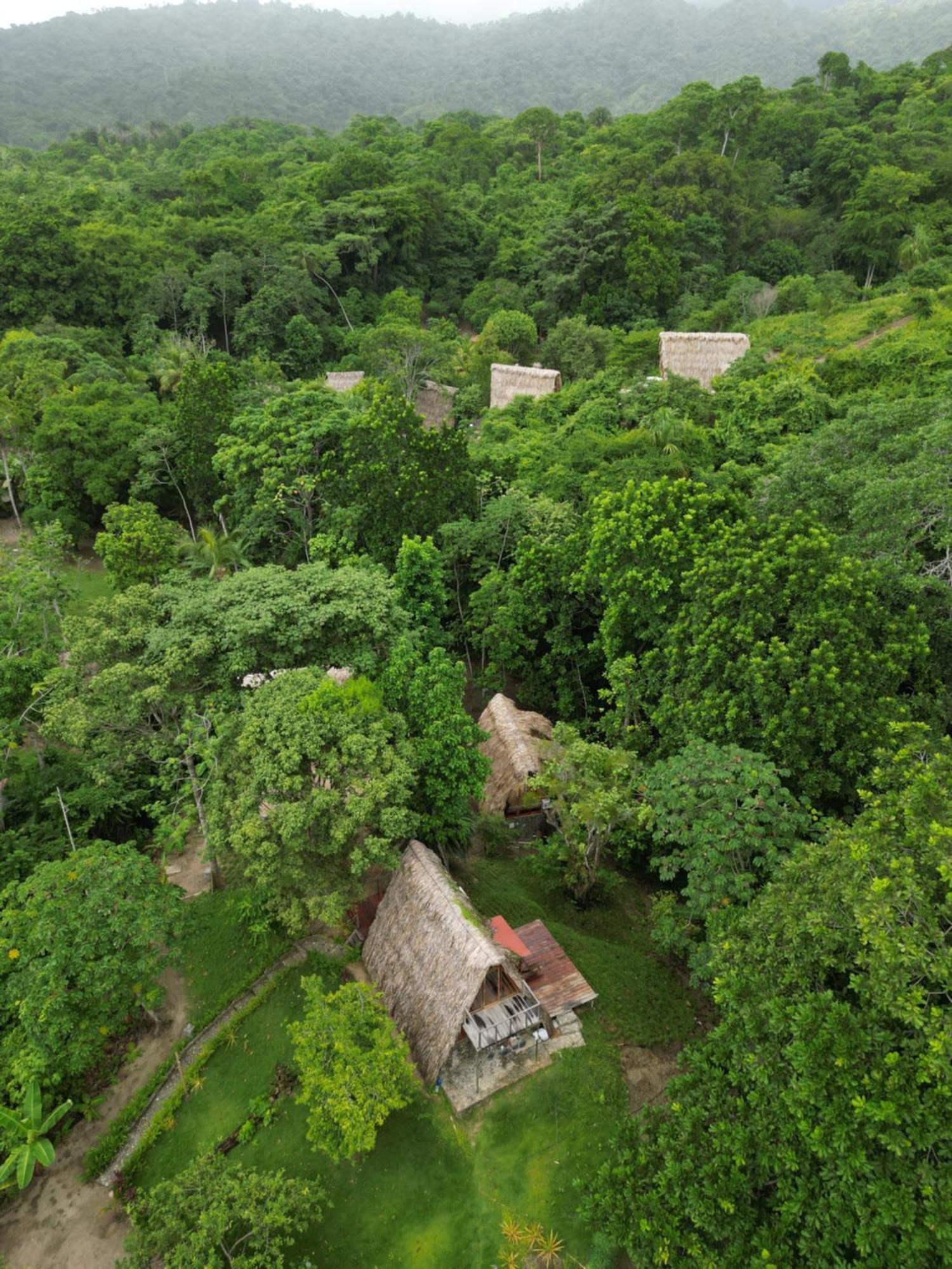 Tiny Houses Unique Tayrona - Dentro Del Parque Tayrona เอลไซโน ภายนอก รูปภาพ