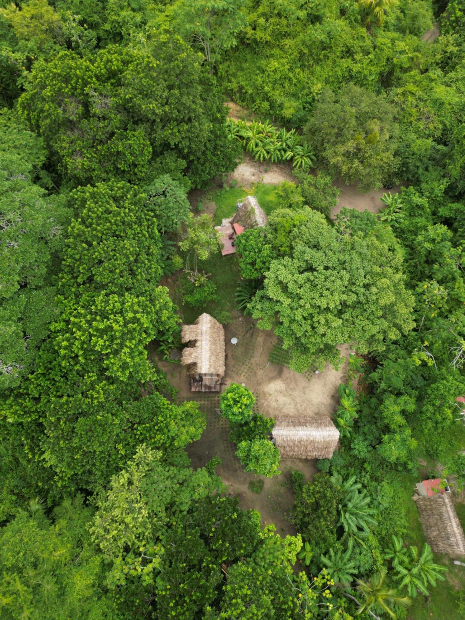 Tiny Houses Unique Tayrona - Dentro Del Parque Tayrona เอลไซโน ภายนอก รูปภาพ