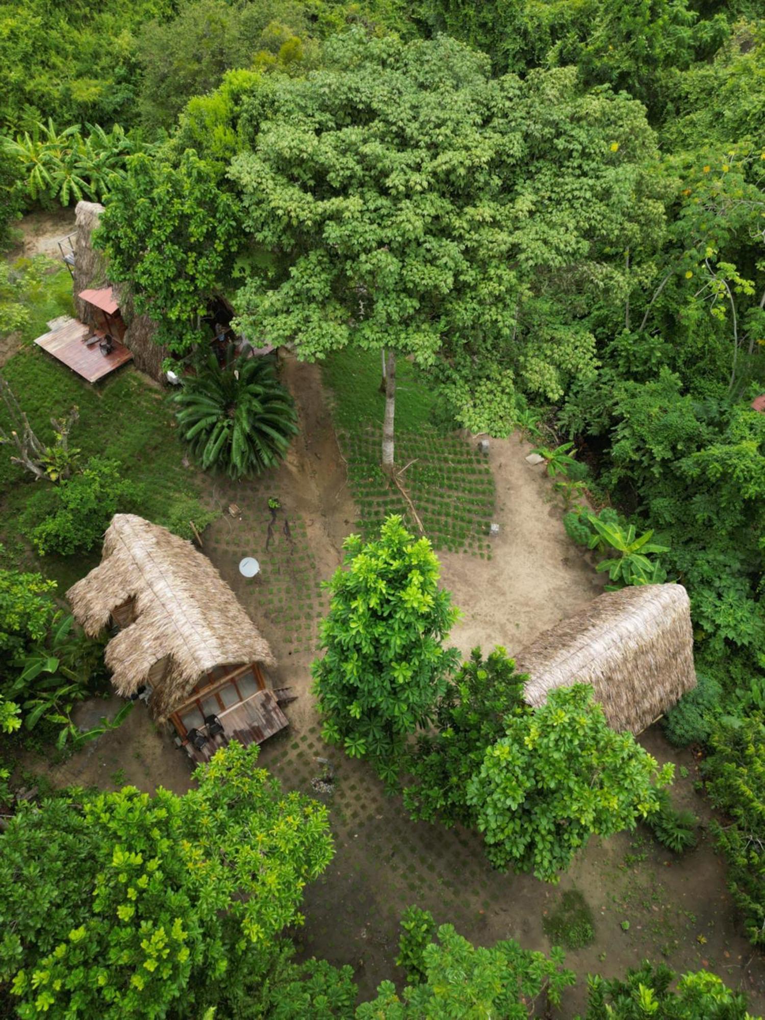 Tiny Houses Unique Tayrona - Dentro Del Parque Tayrona เอลไซโน ภายนอก รูปภาพ