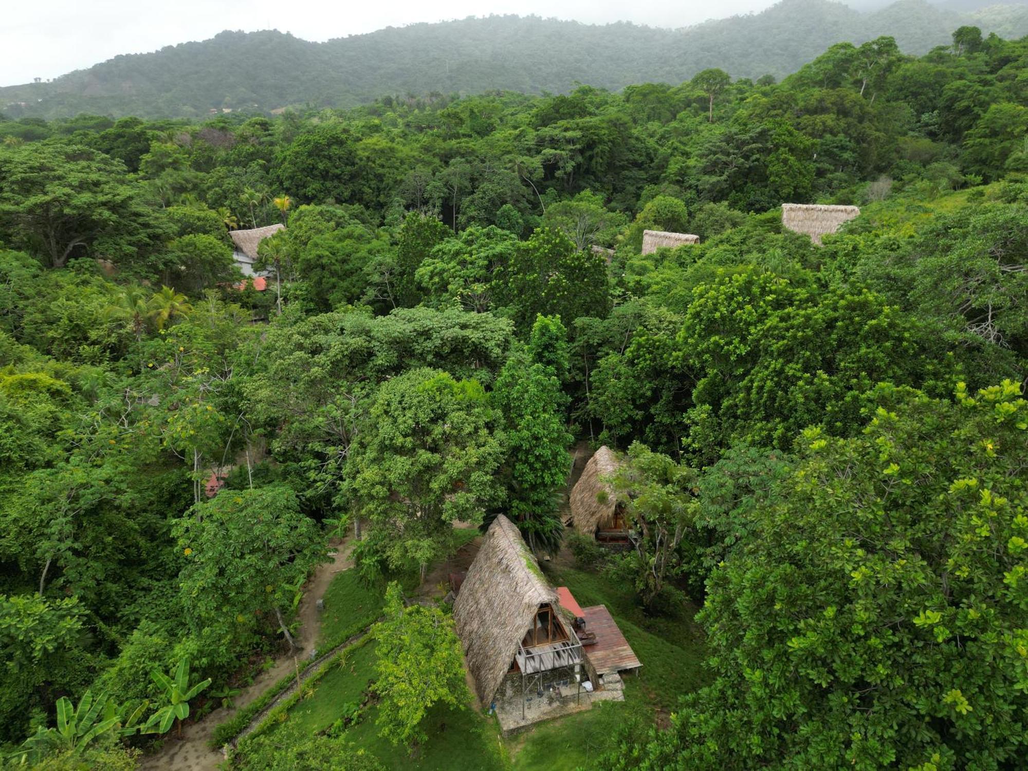 Tiny Houses Unique Tayrona - Dentro Del Parque Tayrona เอลไซโน ภายนอก รูปภาพ
