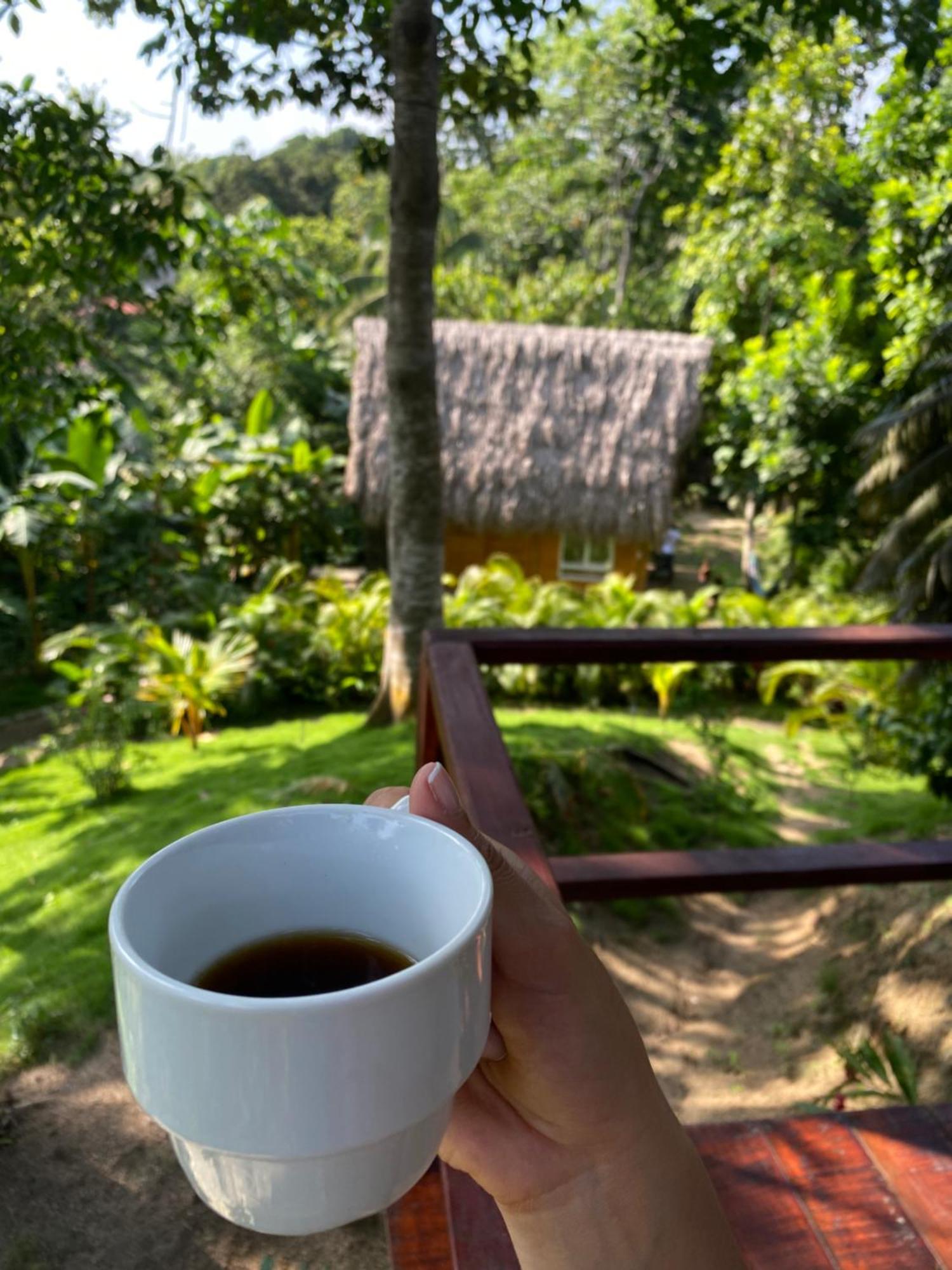 Tiny Houses Unique Tayrona - Dentro Del Parque Tayrona เอลไซโน ภายนอก รูปภาพ