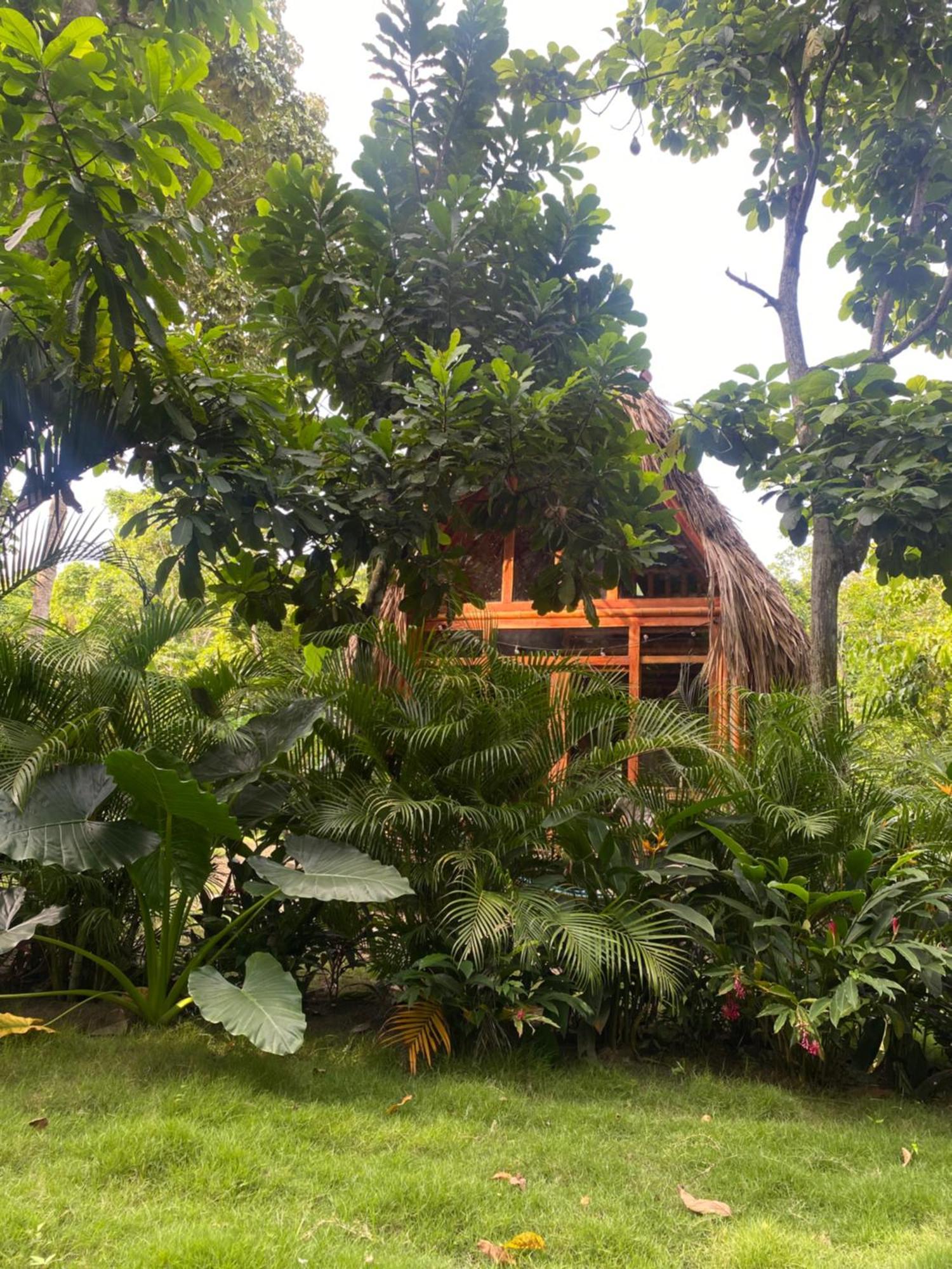 Tiny Houses Unique Tayrona - Dentro Del Parque Tayrona เอลไซโน ภายนอก รูปภาพ